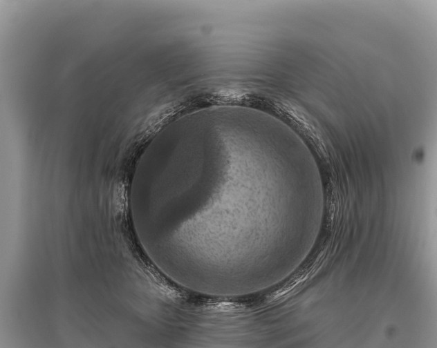 X0000096170467200801251155