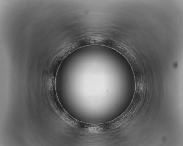 X0000096170468200801251155