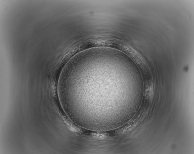 X0000096170469200801251155