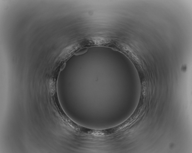 X0000096170471200801251155