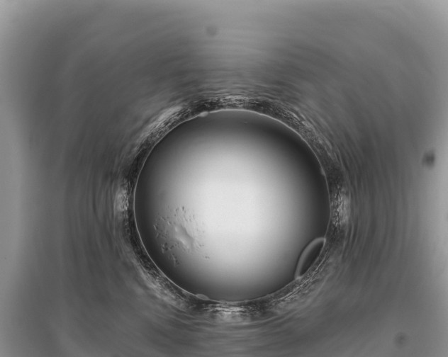 X0000096170472200801251155