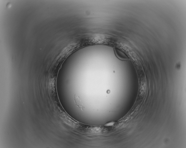 X0000096170473200801251155