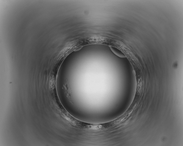 X0000096170474200801251155