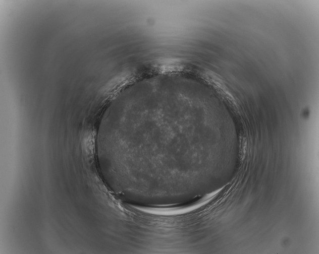 X0000096170475200801251155