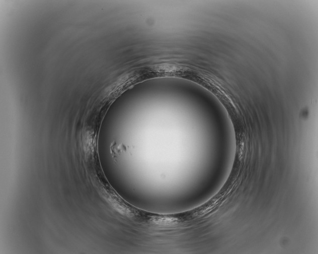 X0000096170476200801251155