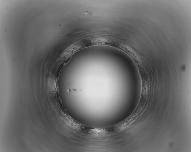 X0000096170477200801251155