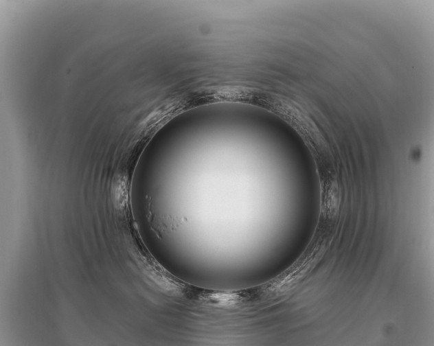 X0000096170478200801251155