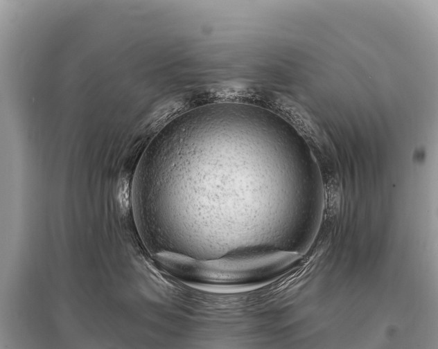 X0000096170479200801251155