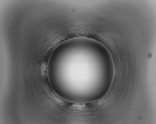 X0000096170480200801251155