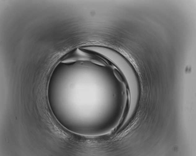 X0000096170481200801251154