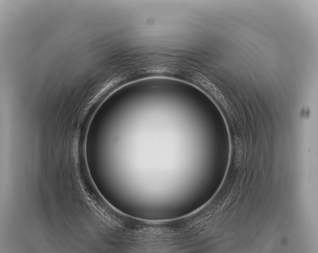 X0000096170482200801251154