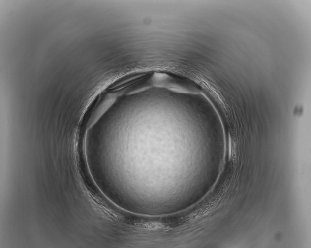 X0000096170483200801251154