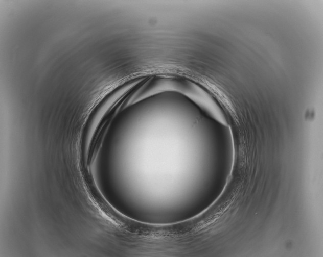 X0000096170485200801251154