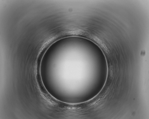 X0000096170486200801251154