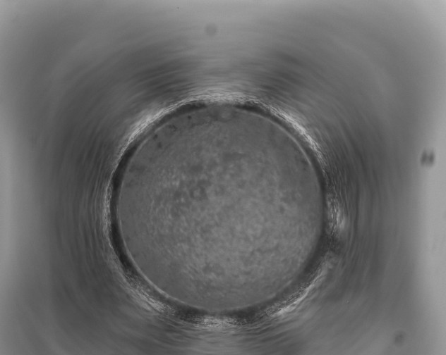 X0000096170487200801251154