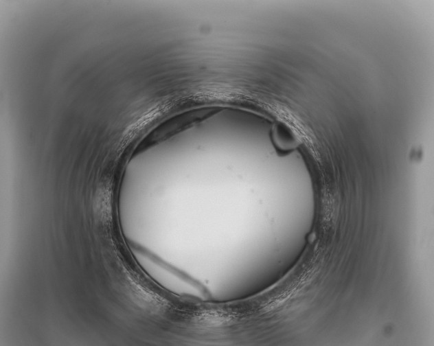 X0000096170489200801251154