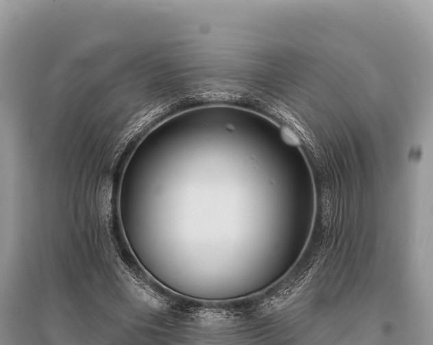 X0000096170490200801251154