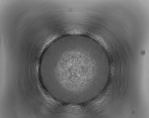 X0000096170491200801251154