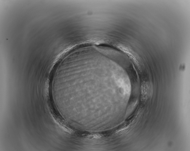 X0000096170492200801251154