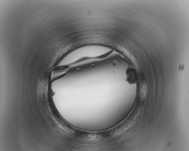 X0000096170493200801251154