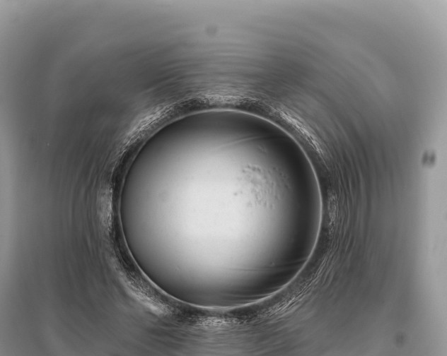 X0000096170494200801251154