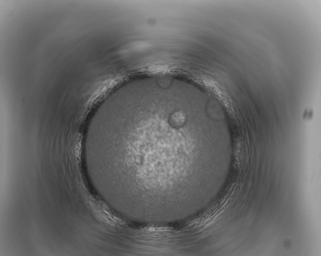 X0000096170495200801251154