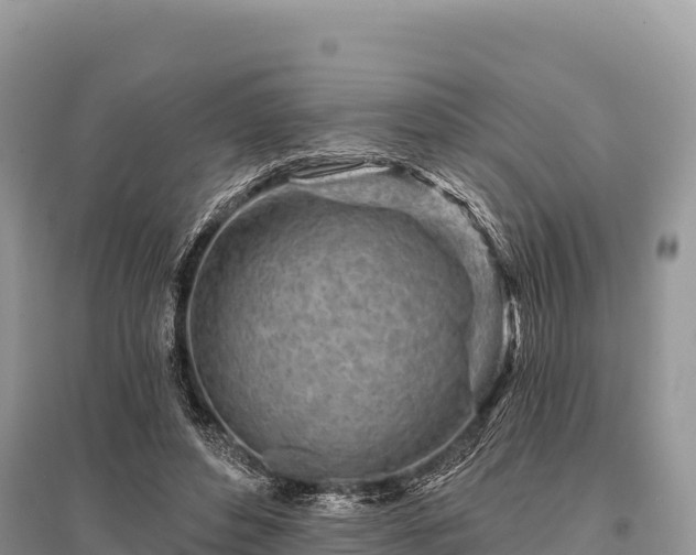 X0000096170496200801251154