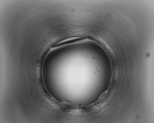 X0000096170497200801251154