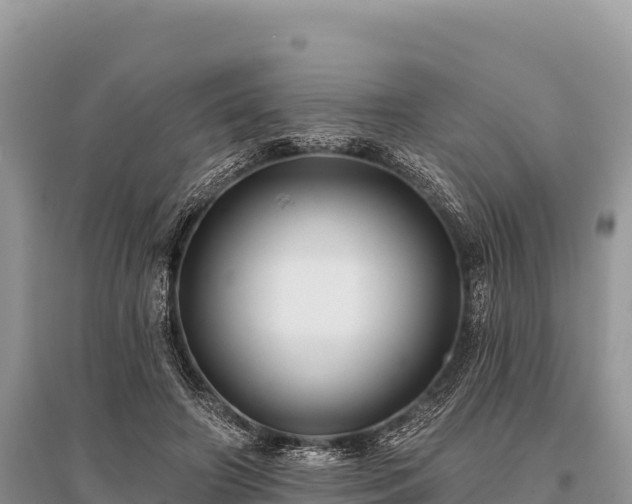 X0000096170498200801251154