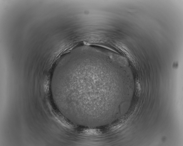 X0000096170499200801251154