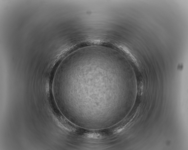 X0000096170500200801251154