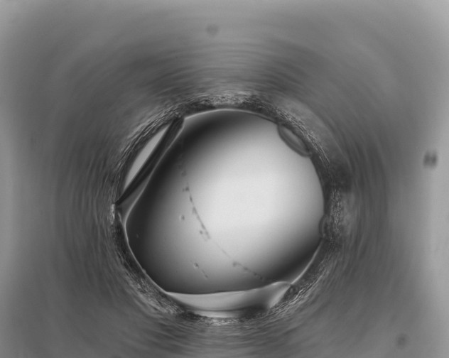 X0000096170501200801251154