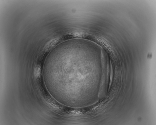 X0000096170502200801251154