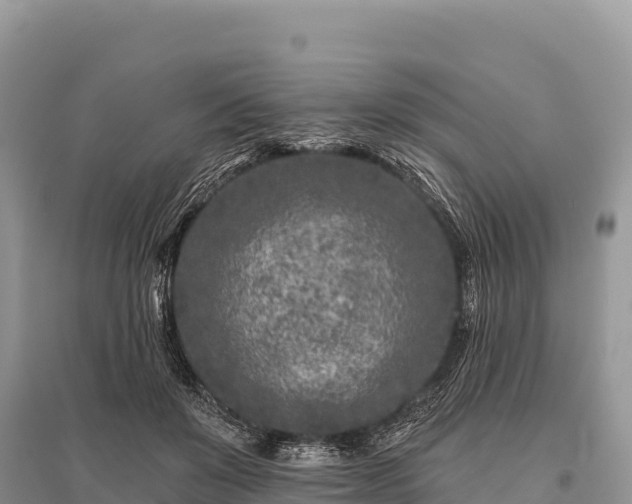 X0000096170503200801251154