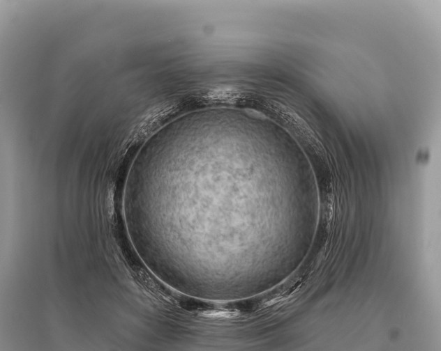 X0000096170504200801251154