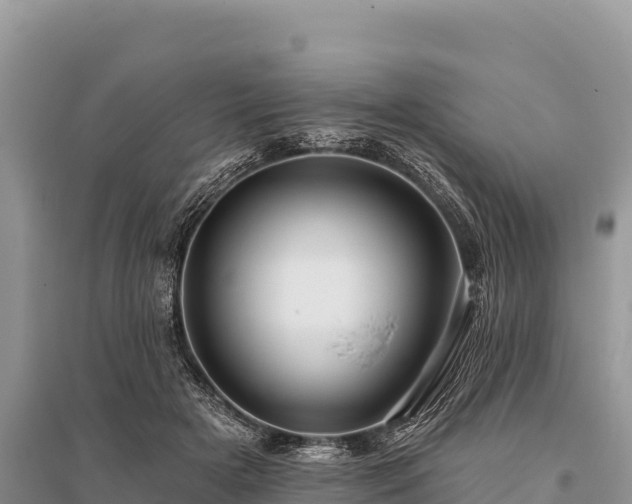 X0000096170505200801251154