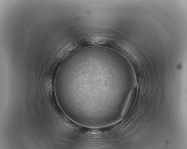 X0000096170506200801251154