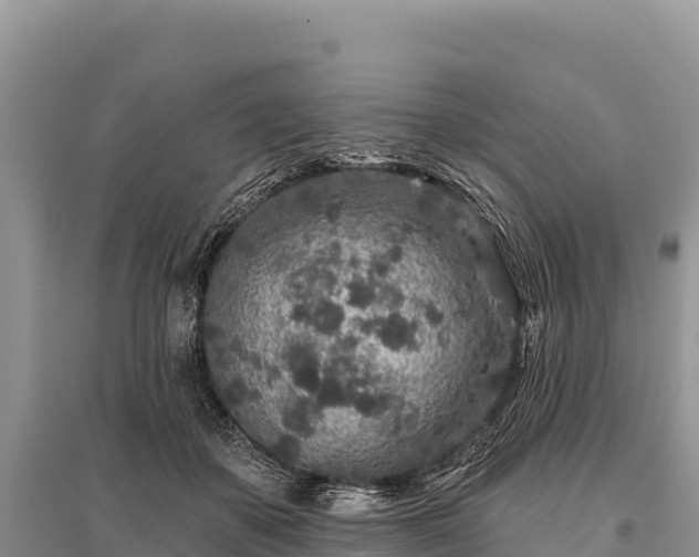 X0000096170507200801251154