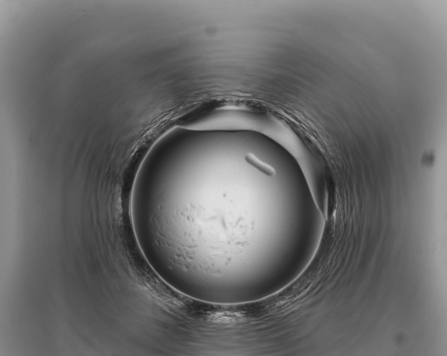 X0000096170508200801251154