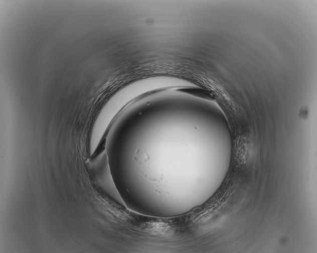 X0000096170509200801251154