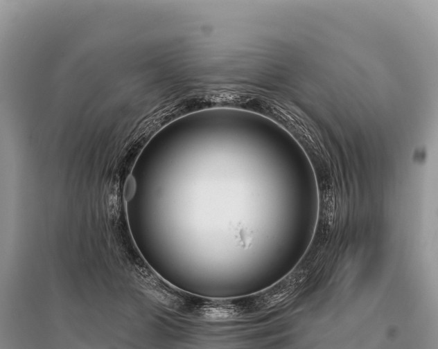 X0000096170510200801251154