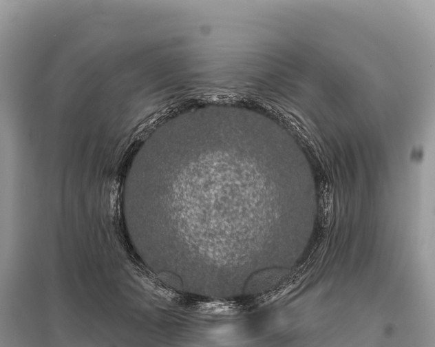 X0000096170511200801251154