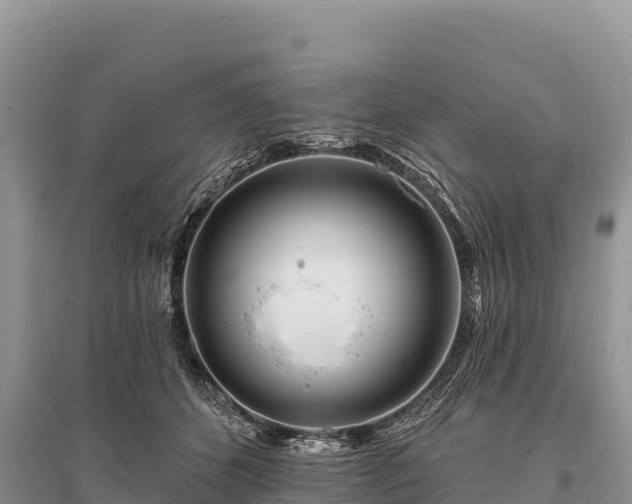 X0000096170512200801251154