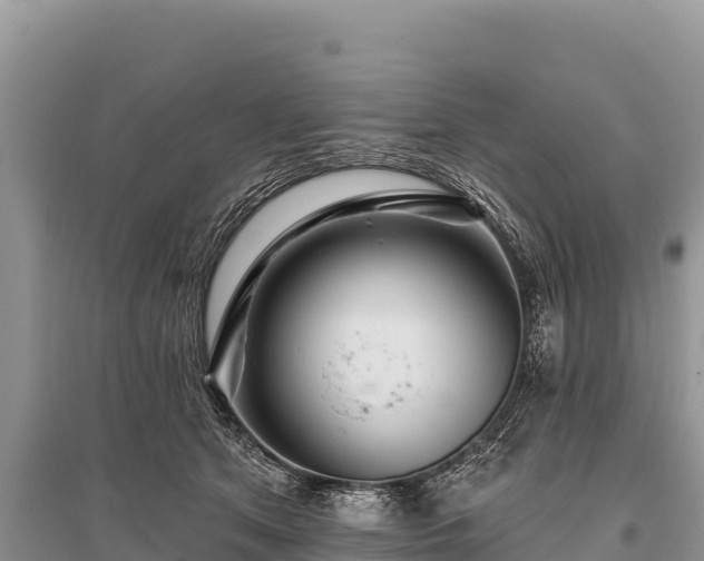 X0000096170513200801251154