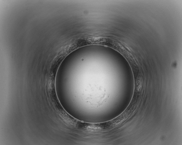 X0000096170515200801251154