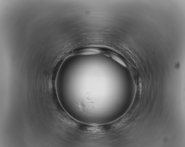 X0000096170516200801251154