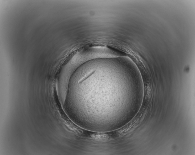 X0000096170517200801251154