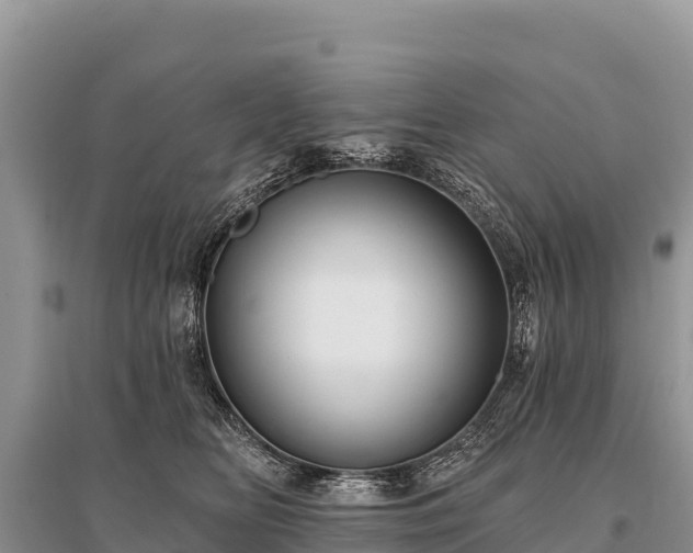 X0000096170518200801251154