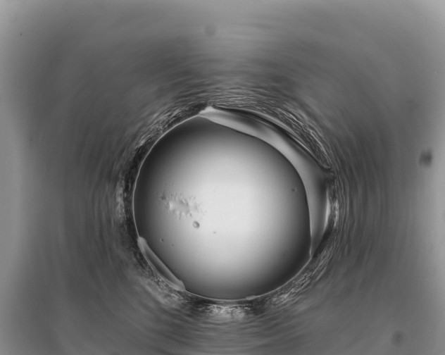 X0000096170520200801251154