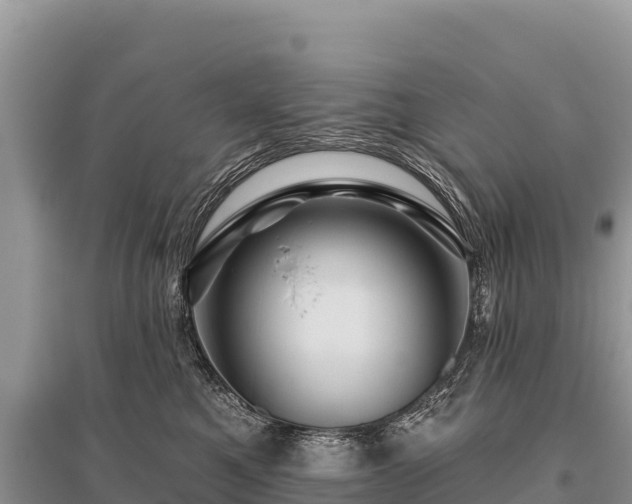 X0000096170521200801251154